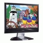 монитор ViewSonic VX2835WM Черно-Серебристый