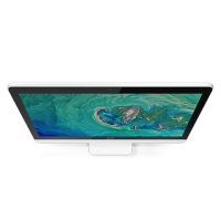моноблок Acer Aspire C20-820 DQ.BC4ER.001 Белый