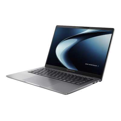 ноутбук ASUS ExpertBook P3 P3405CVA-LY0252 90NX08E1-M00BJ0 Серый