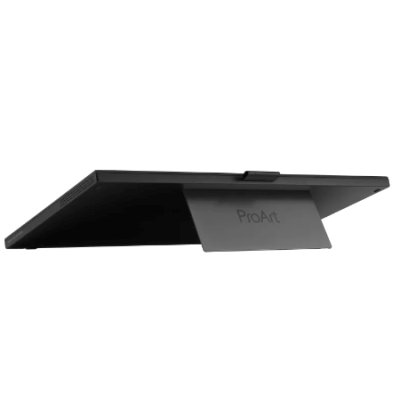 монитор ASUS ProArt PA169CDV Черный