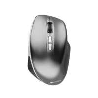 мышь Canyon MW-21 CNS-CMSW21DG Серый