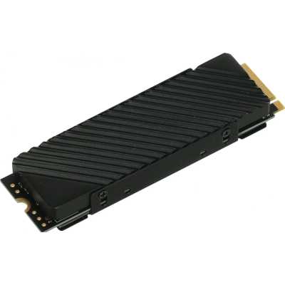 SSD диск Digma Top G3 1Tb DGST4001TG33T Черный
