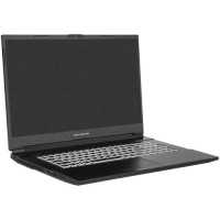 ноутбук Dream Machines RG3060-17EU38 Черный