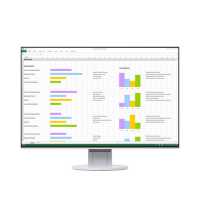 монитор Eizo FlexScan EV2456-WT Белый