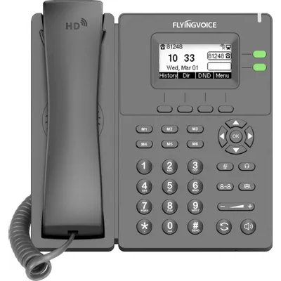 IP телефон Flyingvoice P20 Серый