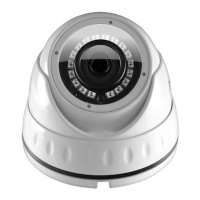 IP видеокамера Ginzzu HID-2031S