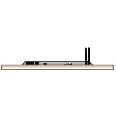 профессиональный дисплей GoodView TC22H1