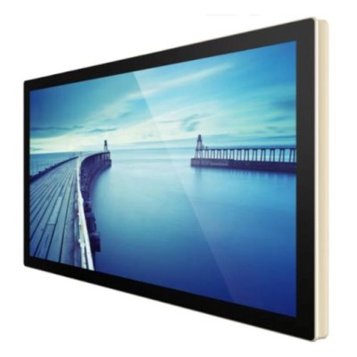 профессиональный дисплей GoodView TC43H1