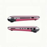 нетбук HP Mini 210-3051er Розовый