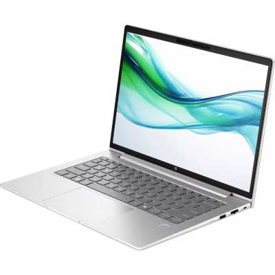 ноутбук HP ProBook 445 G11 8Z9P6AV Серебристый