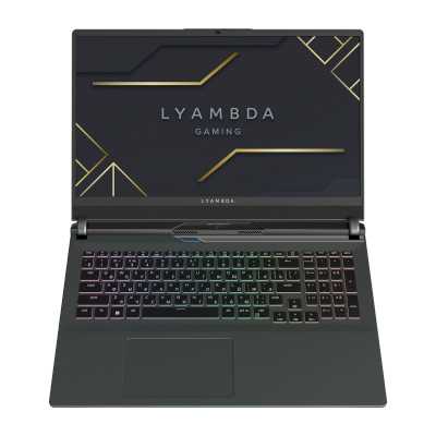 ноутбук Lyambda LLT161M01VXMR_SG Серый