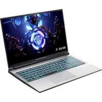ноутбук Machenike L15C L15C-i512450H30504GF144LSMS0R1-wpro Серебристый