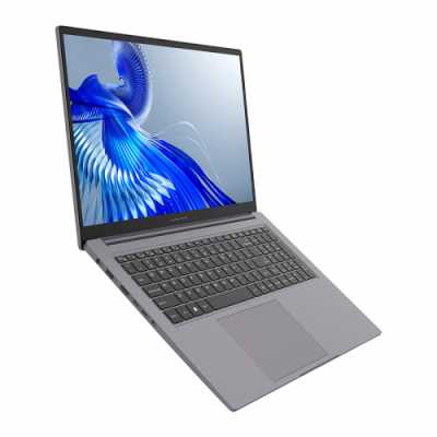 ноутбук Maibenben P725 P7251SF0HGRE0 Серый