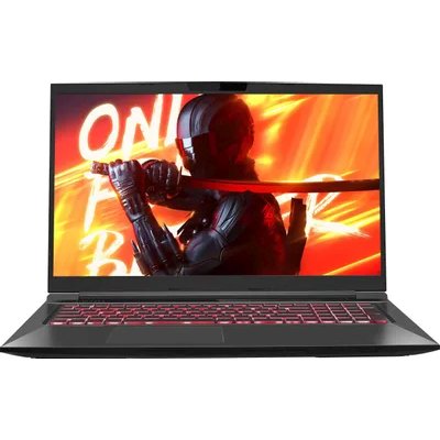 ноутбук Maibenben X725 X725FSFNLBRE0 Черный