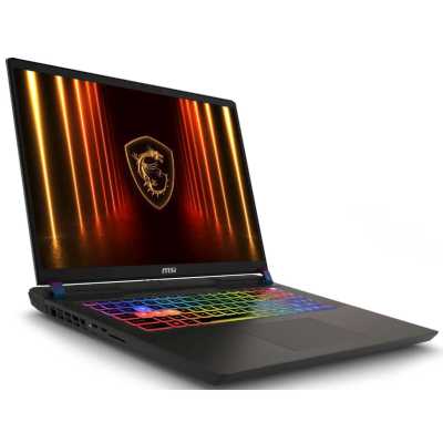 ноутбук MSI Vector 17 HX AI A2XWIG-063XRU Серый