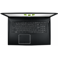 ноутбук MSI WT75 9SL-101 Черный