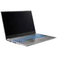 ноутбук Nerpa Caspica A752-15AC161402G Серый