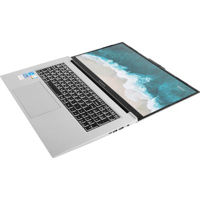 ноутбук Nerpa Caspica I552-17VA085202G Серый