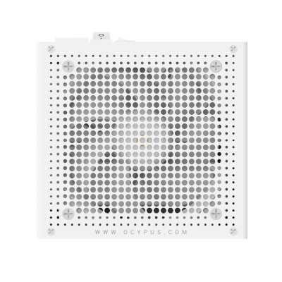 блок питания Ocypus Iota P850 White Белый