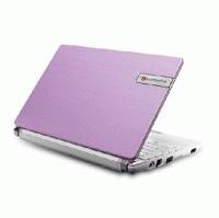 нетбук Packard Bell DOT S-E3/P-513RU Розовый