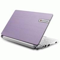 нетбук Packard Bell DOT S-E3/V-526RU Фиолетово-Белый