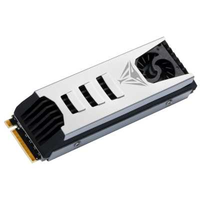 SSD диск Patriot Viper PV553 1Tb PV553P1TBM28H Черно-белый