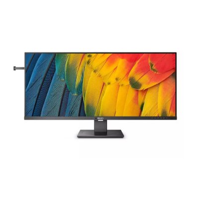 монитор Philips 40B1U5600 Черный