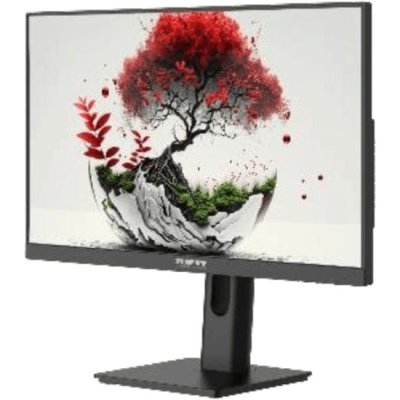 монитор RDW Computers 2401K/F08B3100V2A1A Черный
