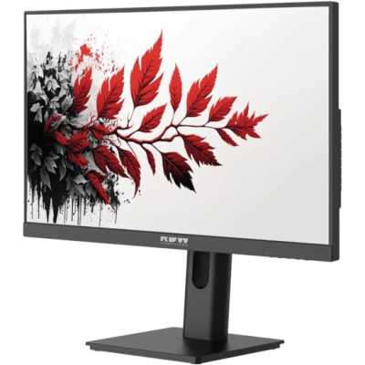 монитор RDW Computers 2701K/F05B0120V2A1 Черный