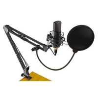 микрофон Ritmix RDM-169 Black Черный