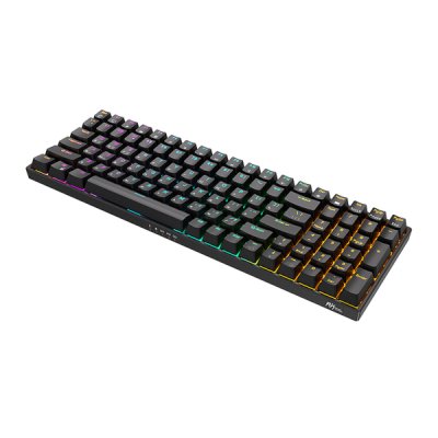 клавиатура Royal Kludge RK100 6935280813580 Черный