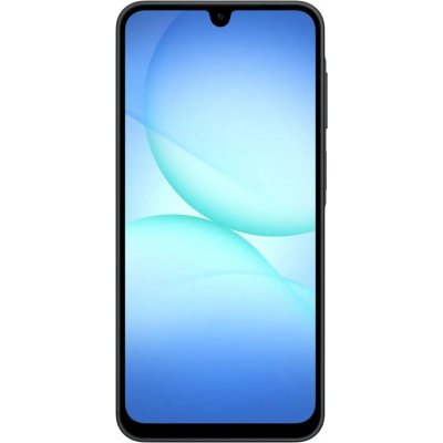 смартфон Samsung Galaxy A17 8/256GB Black SM-A175FZKOCAC черный