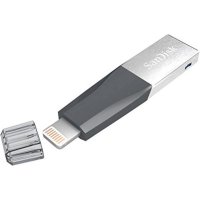 флешка SanDisk 128GB SDIX40N-128G-GN6NE