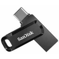 SanDisk 256GB SDDDC3-256G-G46