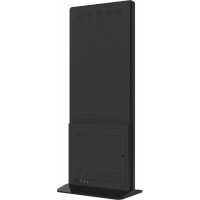 специальный дисплей ViewSonic EP5542T